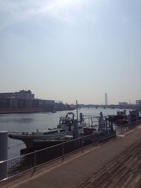 river turumi chill.JPG